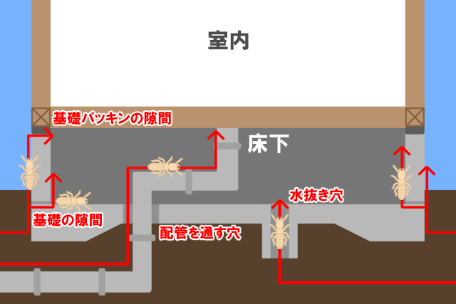 シロアリの床下侵入経路